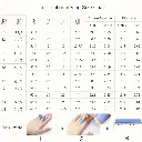 14.webp