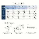 3.webp